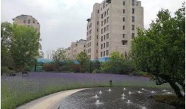 大华公园最新爆料