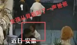 苏纪爸爸爆料后续视频,揭秘事件真相与更多细节