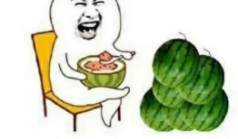 娱乐吃瓜摸鱼,摸鱼时光里的娱乐揭秘